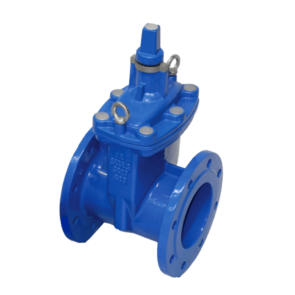 Daemco Flanged Resilient Seated Sluice Valve DN50 ACC