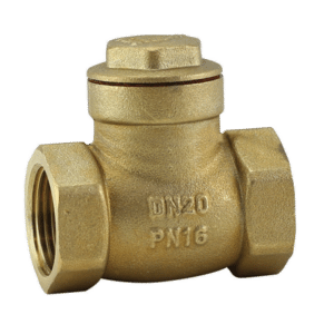 Bugatti Swing Check Valve 20mm
