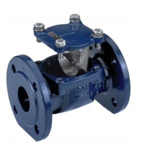 Sensus Flanged Inline Strainer DN50