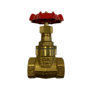 Kitz DZR Female Gate Valve 20mm