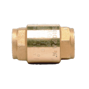 Europa Spring Check Valve 65mm