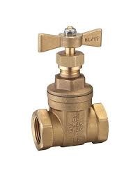 DZR Bronze Female Gate Valve T Handle 25mm
