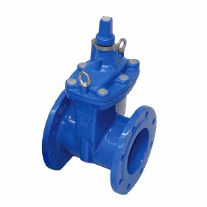 Daemco Flanged Resilient Seated Sluice Valve DN100 ACC