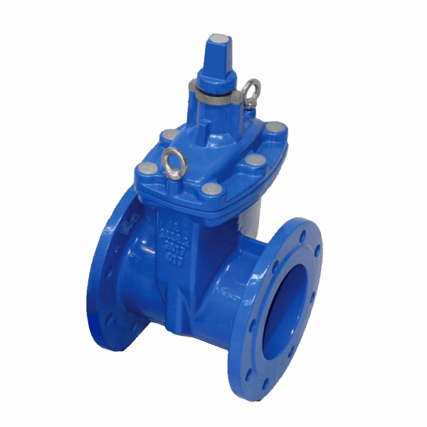 Daemco Flanged Resilient Seated Sluice Valve DN100 ACC