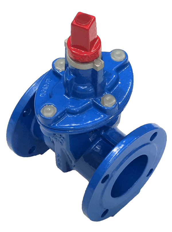 Derwent Flanged Resilient Seated Sluice Valve DN250 ACC Table E