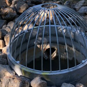 Scruffy Dome 600mm Tall