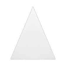 AWIS NZ White SV Triangle (200 x 300mm)