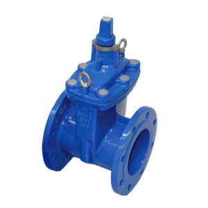 Daemco Flanged Resilient Seated Sluice Valve DN100 ACC